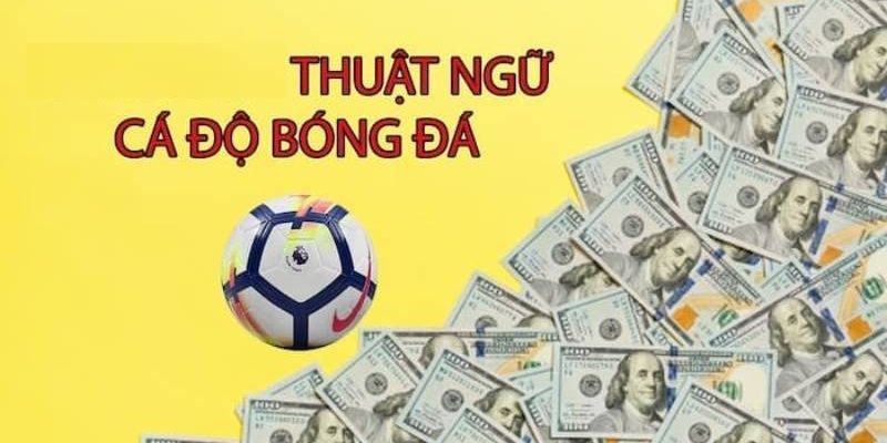 Thuật Ngữ Cá Độ Bóng Đá - Top 10 Khái Niệm Quan Trọng Cần Biết 3 Thuật ngữ cá độ bóng đá kèo trên dưới